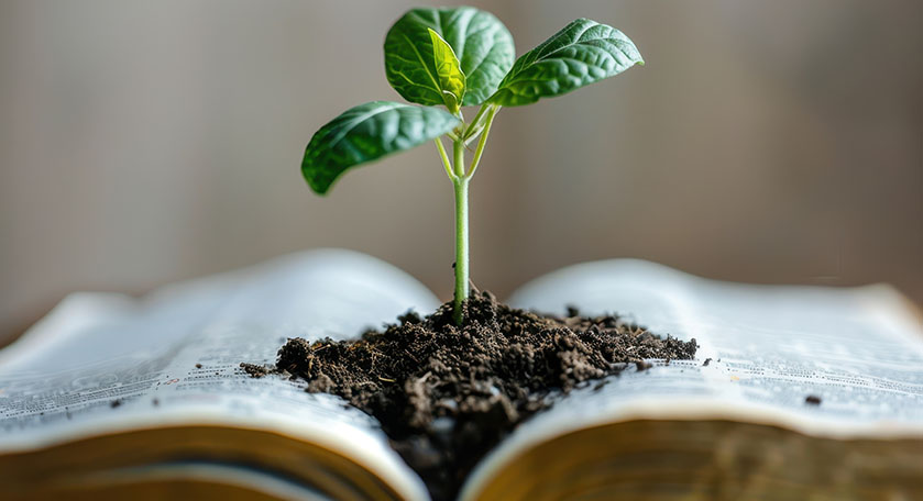 Physical and Spiritual Development Physical and Spiritual Development